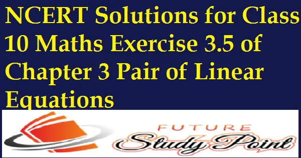 Class 10 Maths Chapter 3 Exercise 3.5 - Pair of Linear Equations in 2 Variables NCERT Solutions