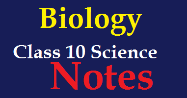 Class 10 biology