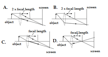 Q class 10 science sample paper 2021 term 181