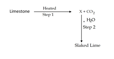 Q25 class 10 science sample paper 2021