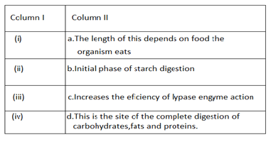 Q16.science sample paper class 10 term 1