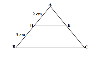 Q37 class 10 maths basic term 1 2021-22