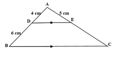 Q2 Basic math term 1 class 10 2021-22