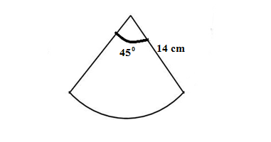 Q21 class 10 basic maths term 1