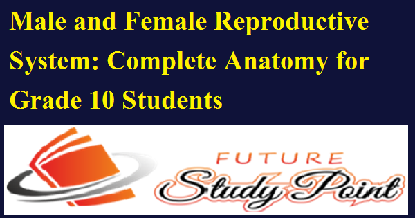 class 10 science male and female reproductive system
