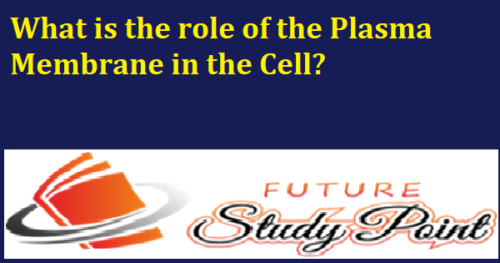 what-is-the-role-of-plasma-membrane-in-the-cell-future-study-point