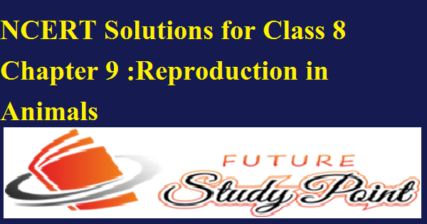 NCERT Solutions for Class 8 Chapter 9 :Reproduction in Animals - Future  Study Point