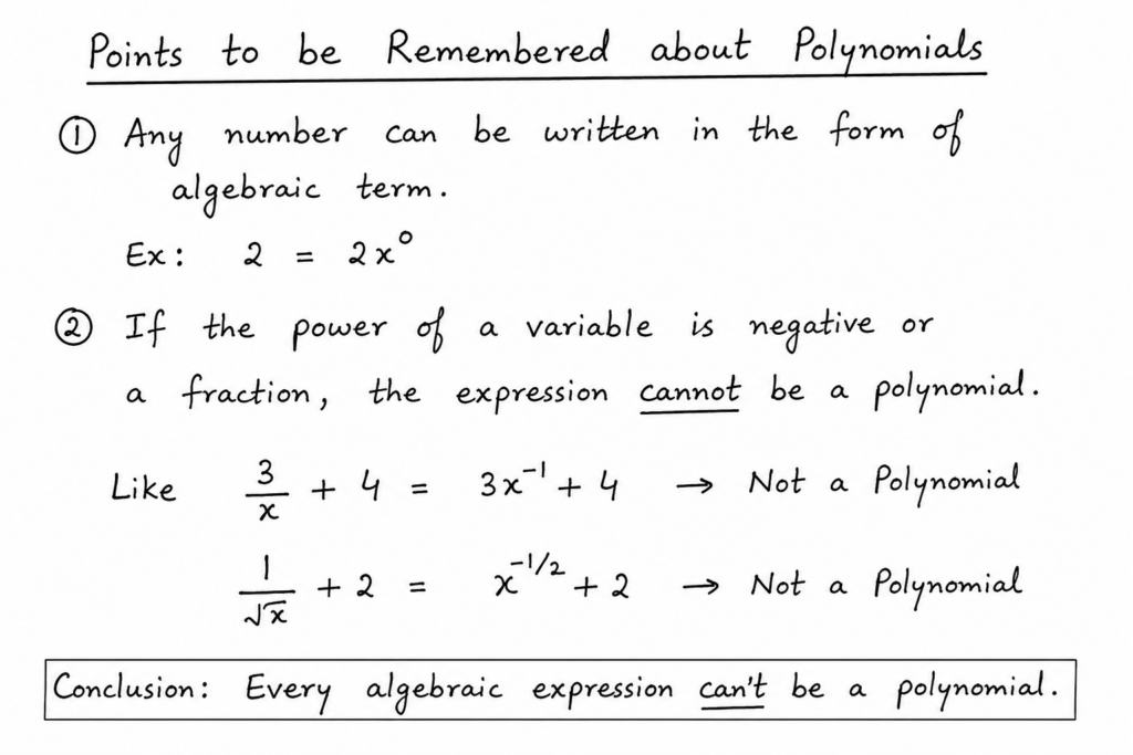 Every polynomial is an algebraic expression, but not every algebraic expression is a polynomial
